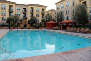 Rental Fraud: Why verifying income is important. 